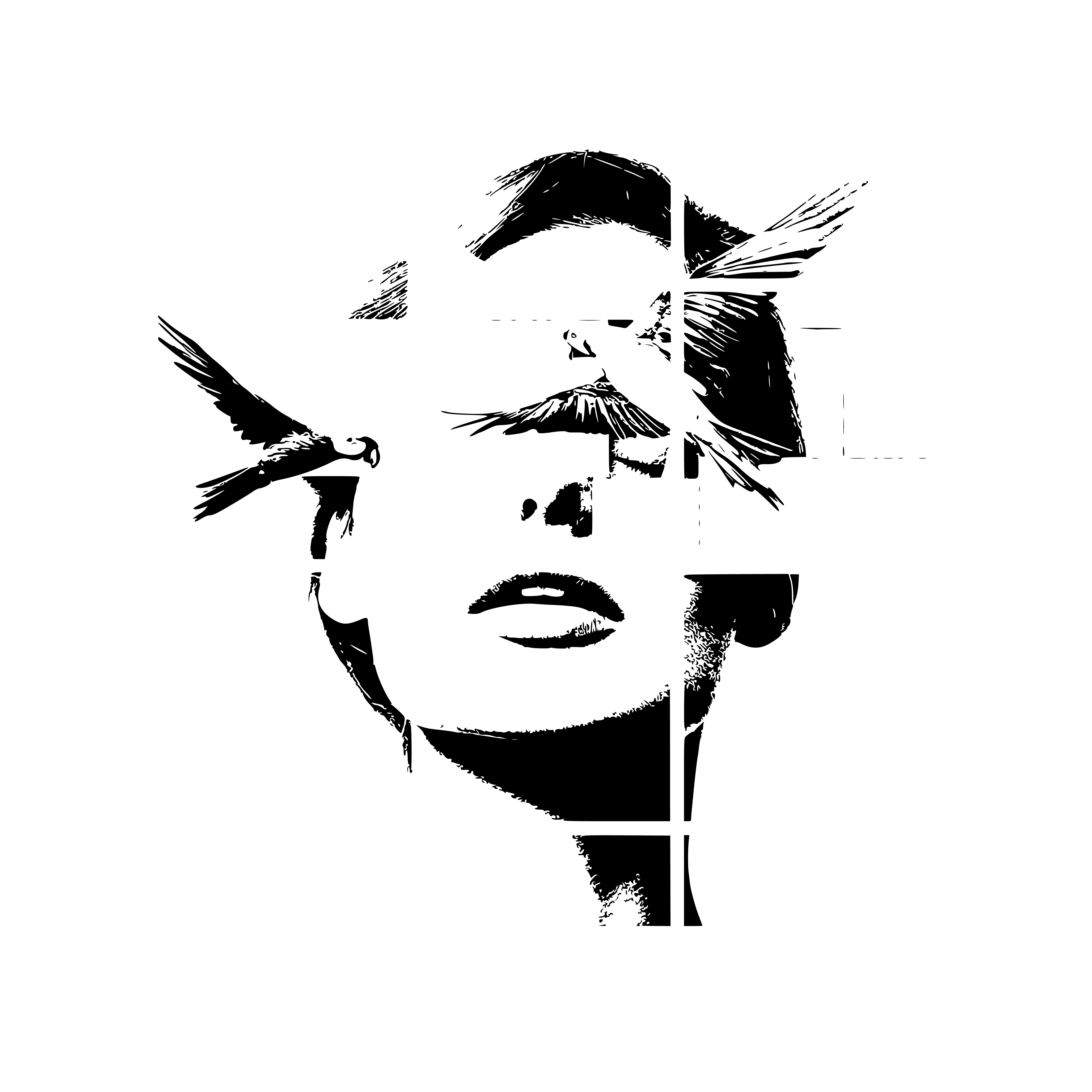 Lionsign Studio icon